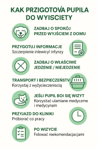 Jak przygotować pacjenta do wizyty u weterynarza